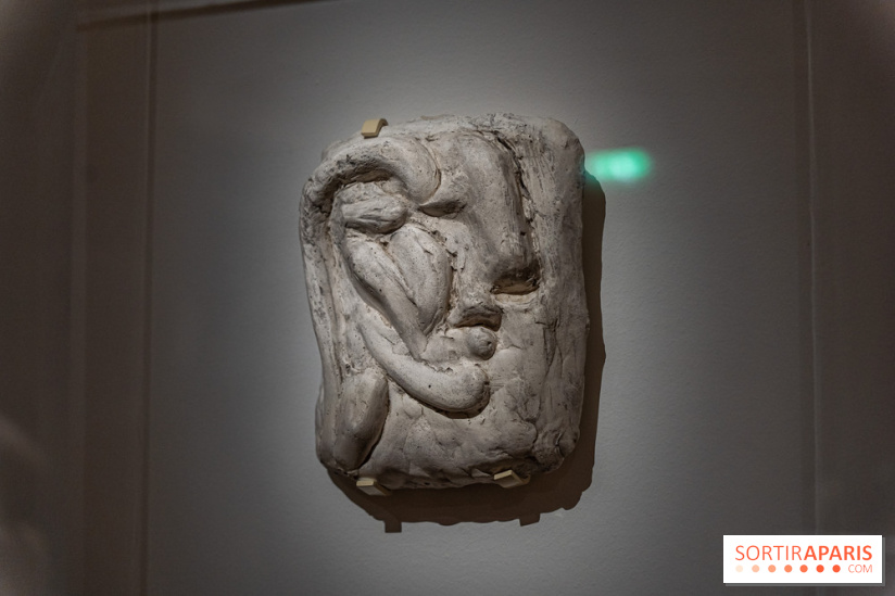 Picasso et la Préhistoire, les photos de l'exposition au Musée de l'Homme