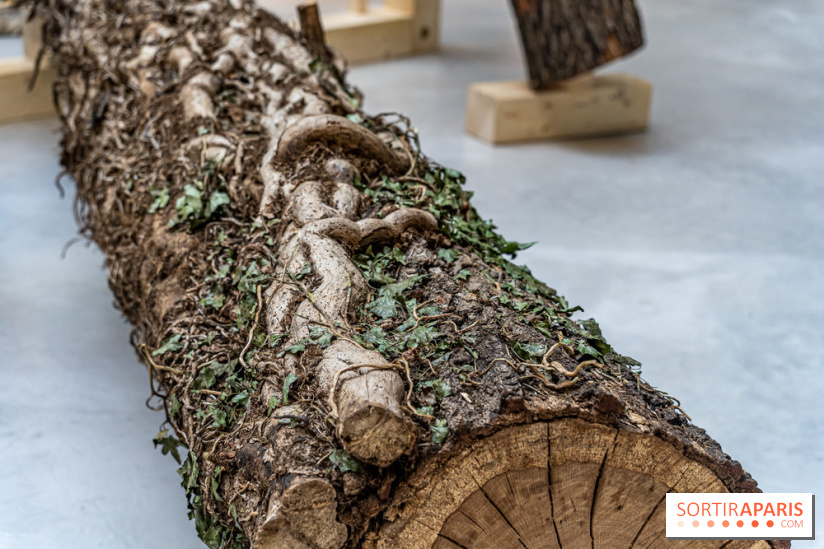 Exposition Avant l'orage à la Bourse de Commerce - Pinault Collection - urgence climatique