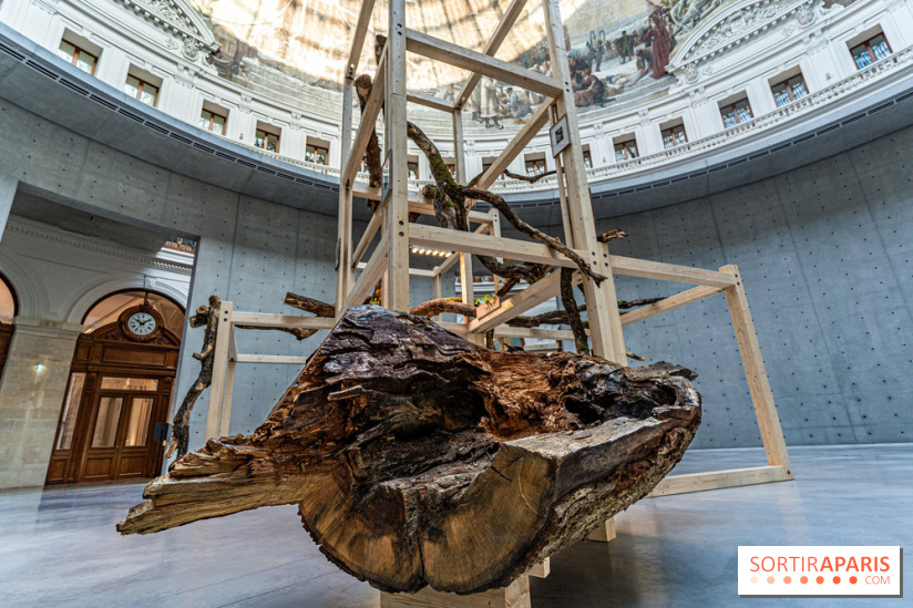 Exposition Avant l'orage à la Bourse de Commerce - Pinault Collection - urgence climatique