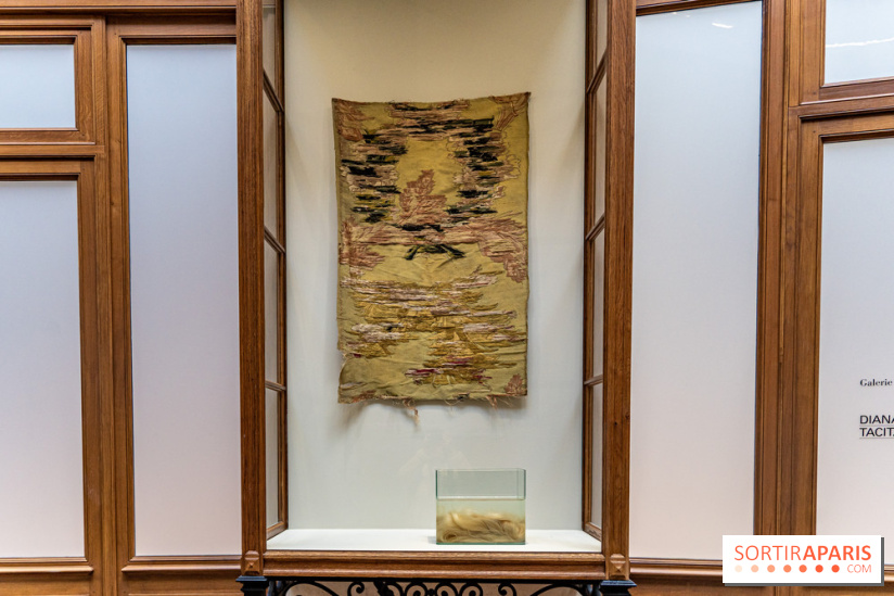 Exposition Avant l'orage à la Bourse de Commerce - Pinault Collection - urgence climatique