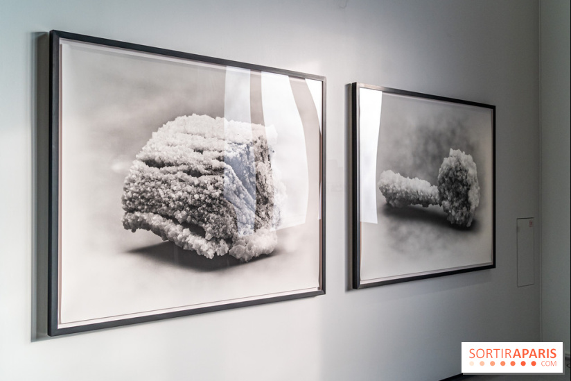 Exposition Avant l'orage à la Bourse de Commerce - Pinault Collection - urgence climatique