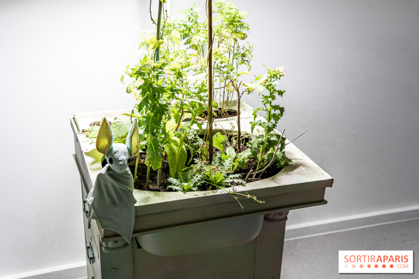 Exposition Avant l'orage à la Bourse de Commerce - Pinault Collection - urgence climatique