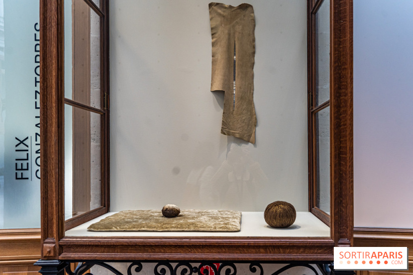 Exposition Avant l'orage à la Bourse de Commerce - Pinault Collection - urgence climatique