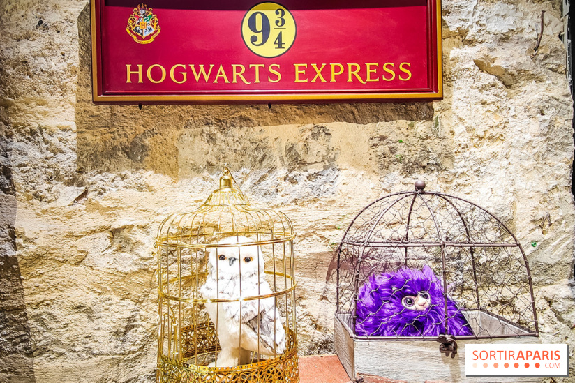 La boutique aux 2 balais, le spot magique et gourmand de Bercy Village - IMG20230210102555