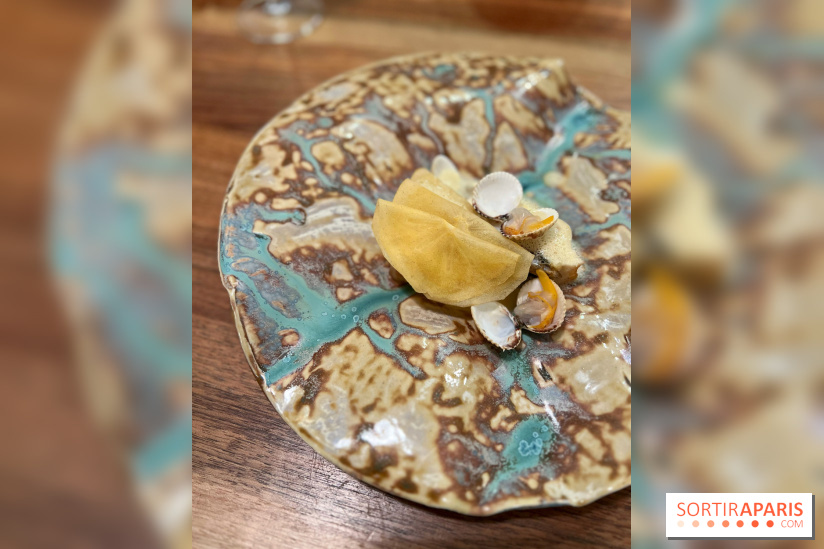 Accents Table Bourse - Bar et coques