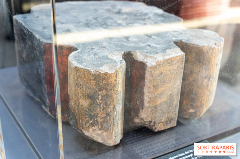 Exposition Notre-Dame de Paris - des bâtisseurs aux restaurateurs - Cité de l'Architecture -  A7C2742