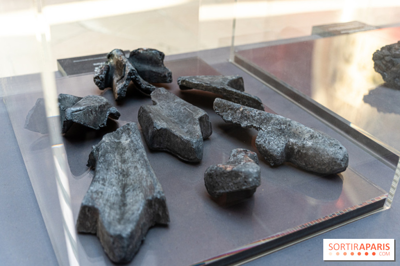 Exposition Notre-Dame de Paris - des bâtisseurs aux restaurateurs - Cité de l'Architecture -  A7C2743