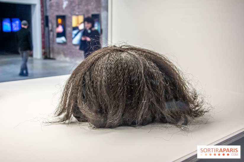 Exposition Exposé.es Palais de Tokyo Sida