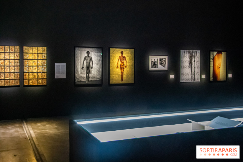 Exposition Exposé.es Palais de Tokyo Sida