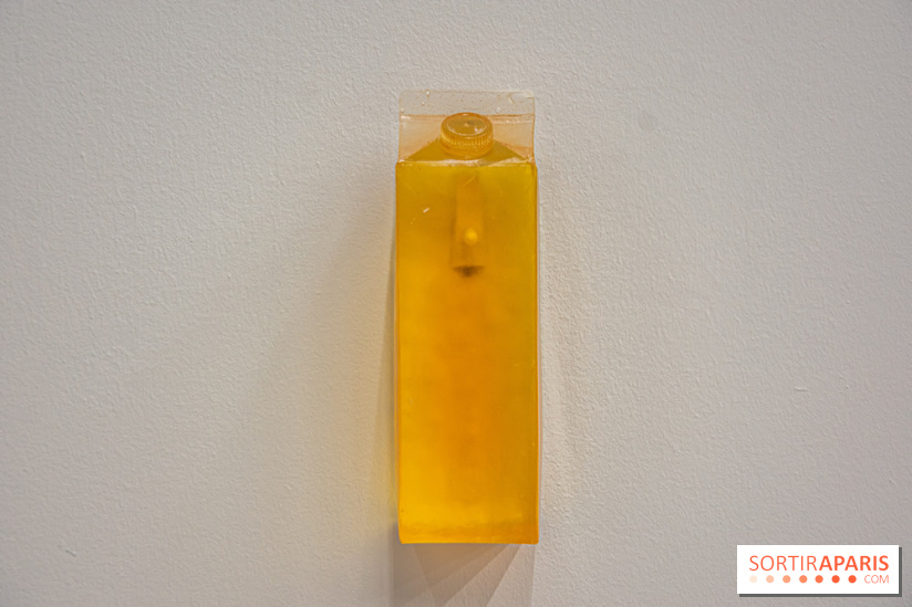 Exposition Exposé.es Palais de Tokyo Sida