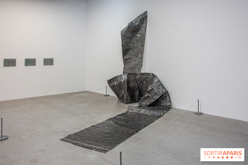 Exposition Exposé.es Palais de Tokyo Sida