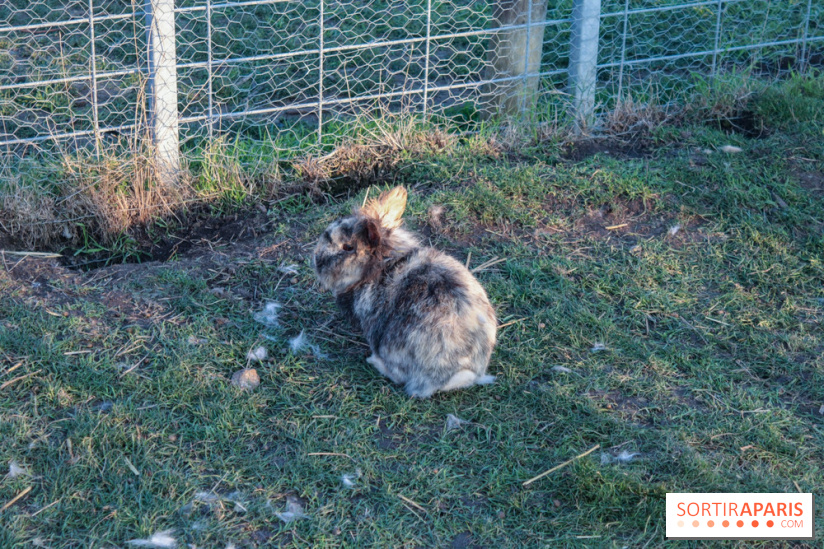 Fermes de Gally - Saint Denis - 2519A350 9450 4D01 A9DD 1475E42E0FC0