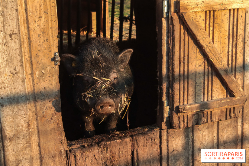 Fermes de Gally - Saint Denis - 582C69D9 6BE3 467E 8262 FB1C0E2DA12B