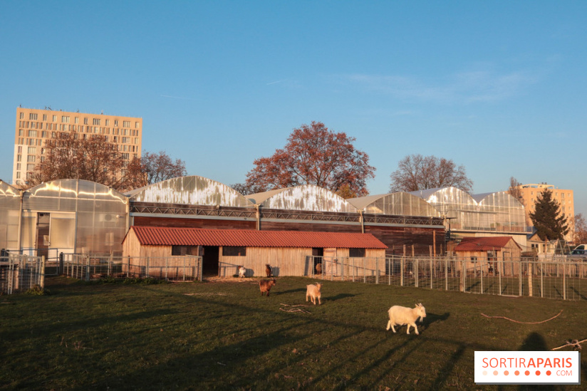 Fermes de Gally - Saint Denis - D552C605 417B 4032 A534 023325AFA580