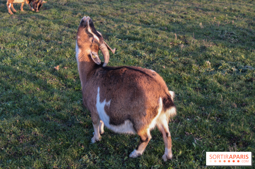 Fermes de Gally - Saint Denis - 834353FC B314 45B2 98C6 98084D078050
