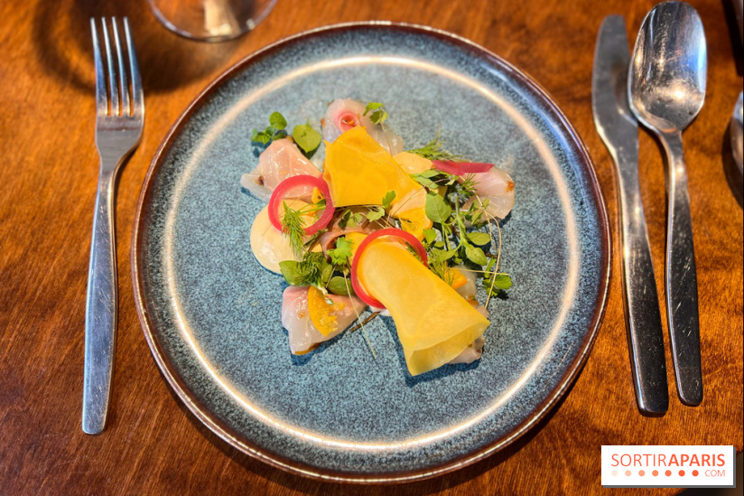 Perception - Sashimi daurade et tarama