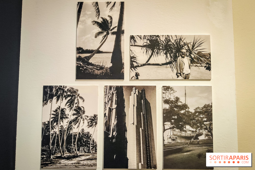 Matisse au musée de l'Orangerie : une exposition focus sur les années 1930 du peintre - nos photos - IMG20230301160729