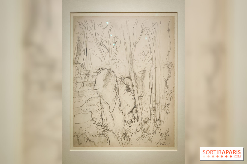 Matisse au musée de l'Orangerie : une exposition focus sur les années 1930 du peintre - nos photos - IMG20230301155735