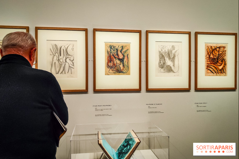 Matisse au musée de l'Orangerie : une exposition focus sur les années 1930 du peintre - nos photos - IMG20230301155657