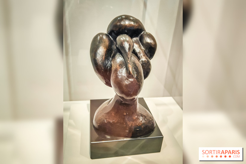 Matisse au musée de l'Orangerie : une exposition focus sur les années 1930 du peintre - nos photos - IMG20230301155415