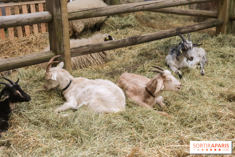 Salon de l'agriculture 2023