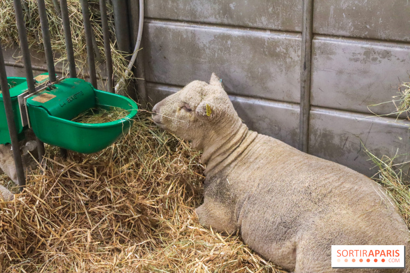 Salon de l'agriculture 2023