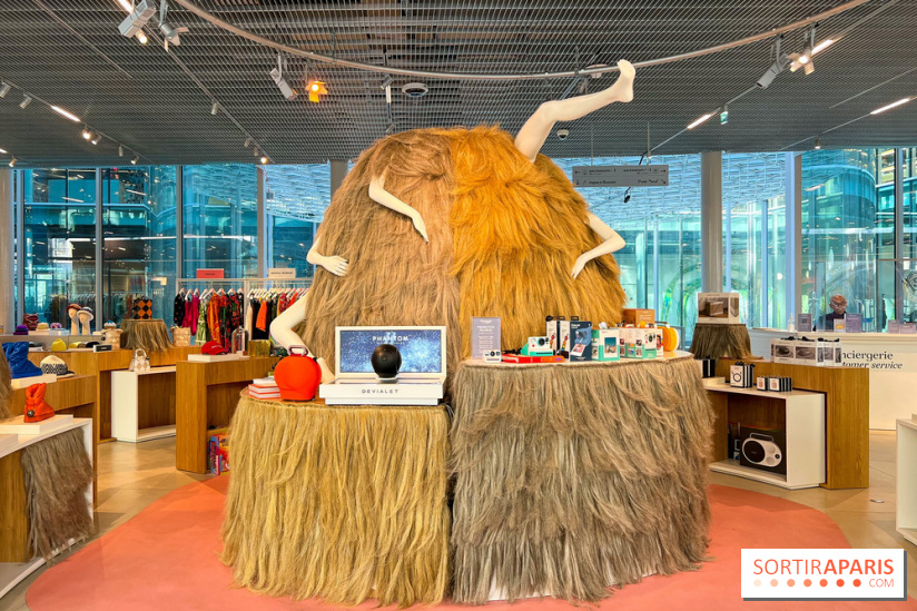 Paris à Poil(s) à la Samaritaine - image00012