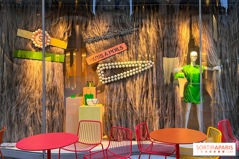 Paris à Poil(s) à la Samaritaine - image00004