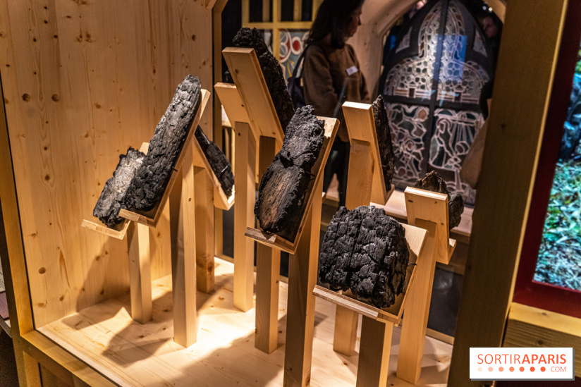 Exposition Notre-Dame de Paris : au cœur du chantier -  A7C4628