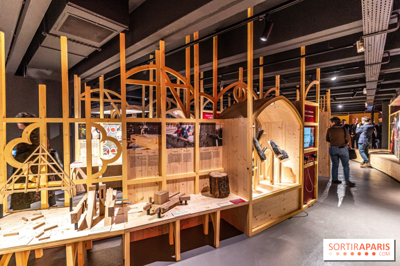 Exposition Notre-Dame de Paris : au cœur du chantier -  A7C4638