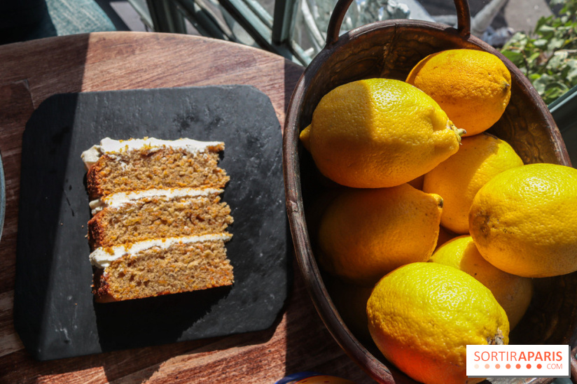 Treize au jardin - 20230302144833 IMG 4056