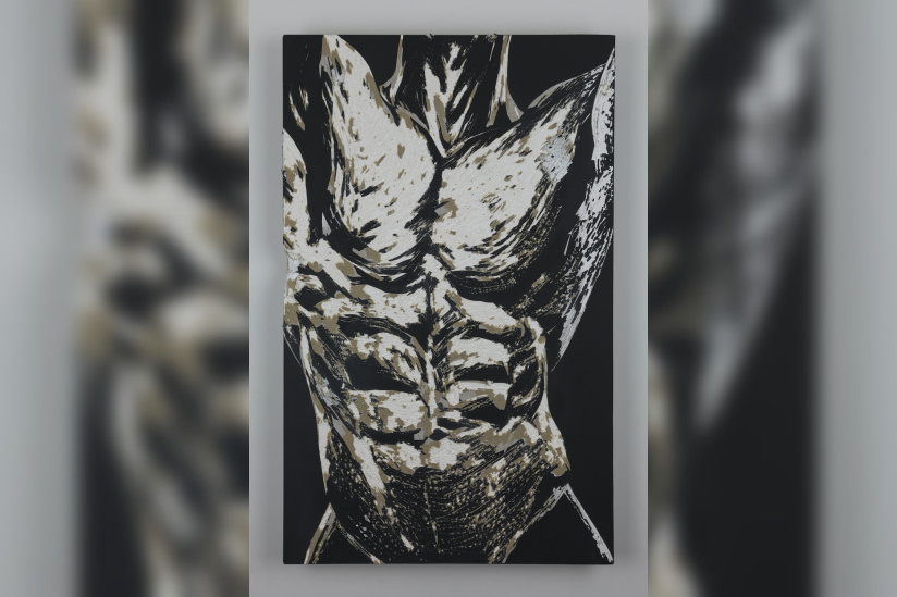 Trouble, l'exposition intriguante au Patronage Laïque Jules Vallès ! - REN Han