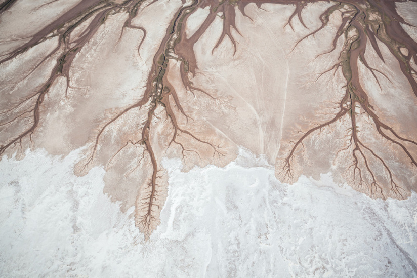 Trouble, l'exposition intriguante au Patronage Laïque Jules Vallès ! - VOGEL Franck video tree of life