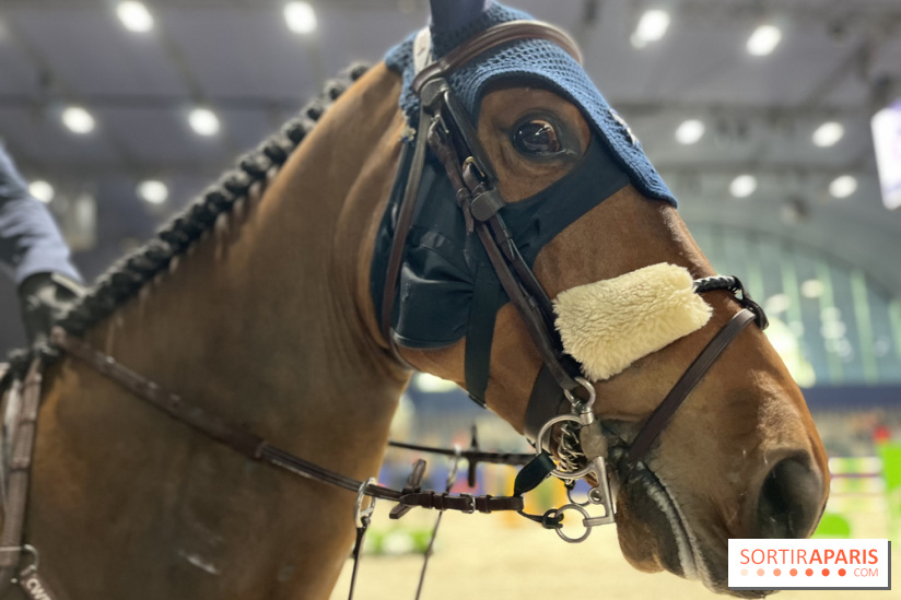cheval - Saut Hermès