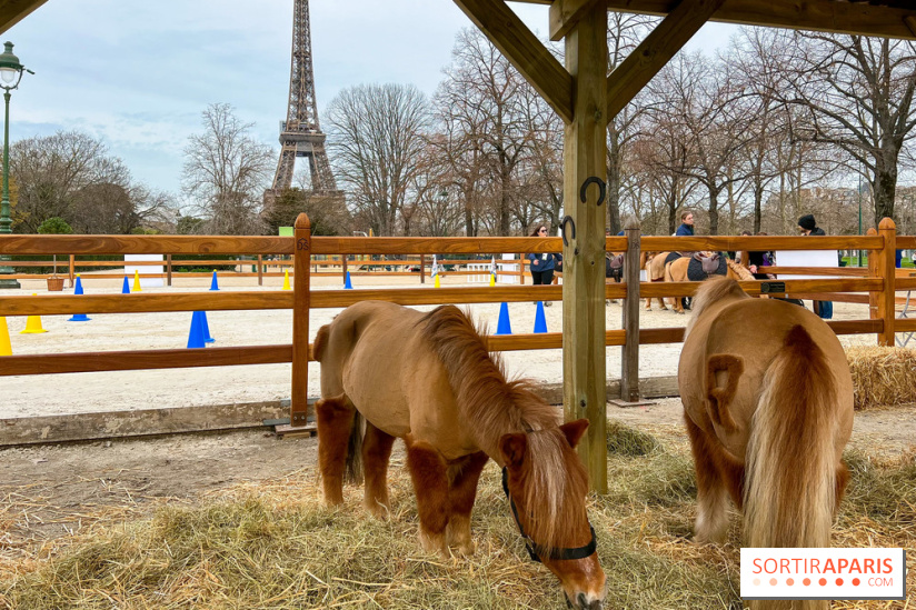 Saut Hermès - image00004