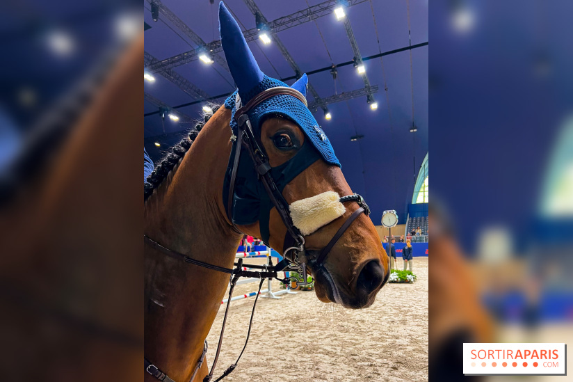 Saut Hermès - image00011