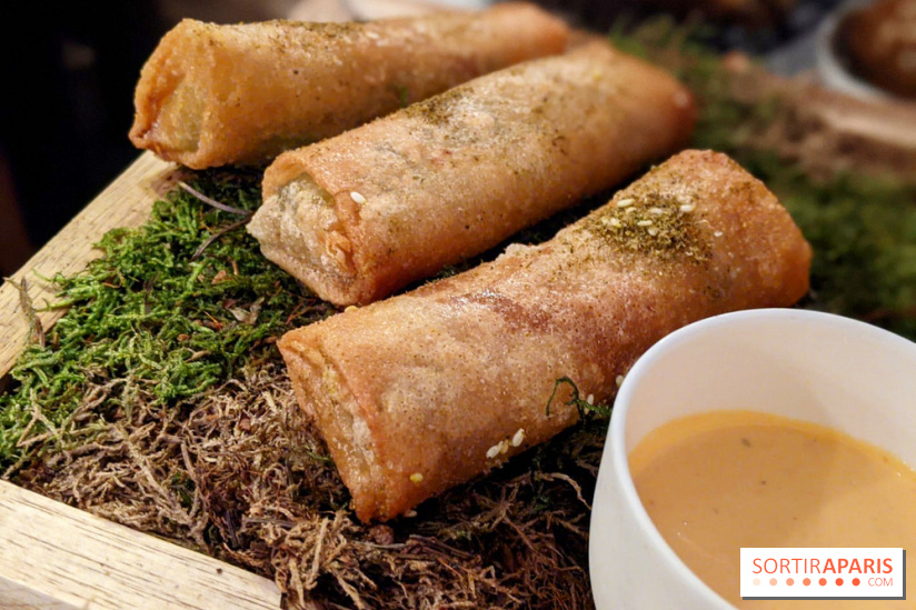 Qasti - Rouleaux halloumi