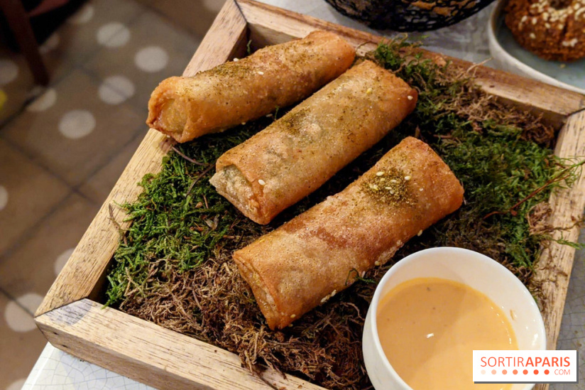 Qasti - Rouleaux halloumi