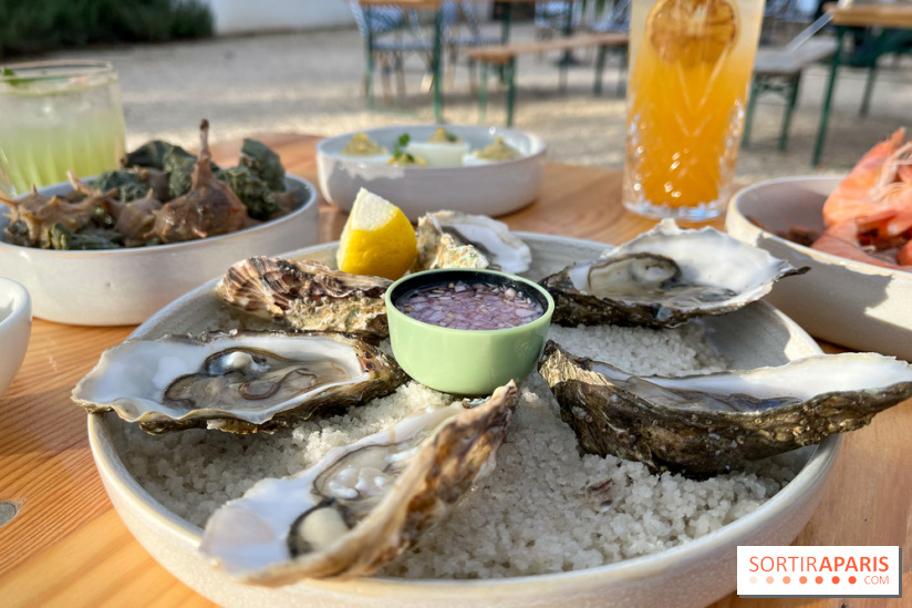 Le Chalet des Îles Daumesnil - le concept du Perchoir