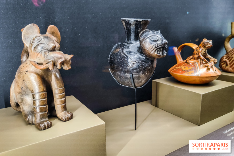 Félins, l'exposition qui nous fait craquer au Muséum national d'Histoire naturelle - photos - IMG20230321104449