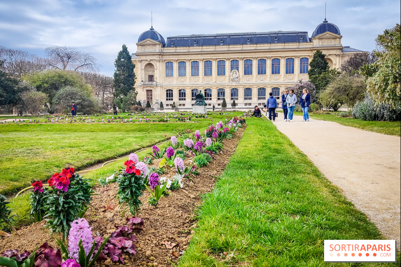 Félins, l'exposition qui nous fait craquer au Muséum national d'Histoire naturelle - photos - IMG20230321111256