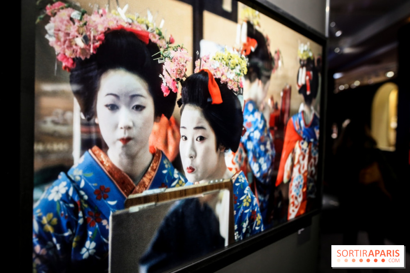 Elliott Erwitt, l'expo au Musée Maillol, nos photos - IMG 8901