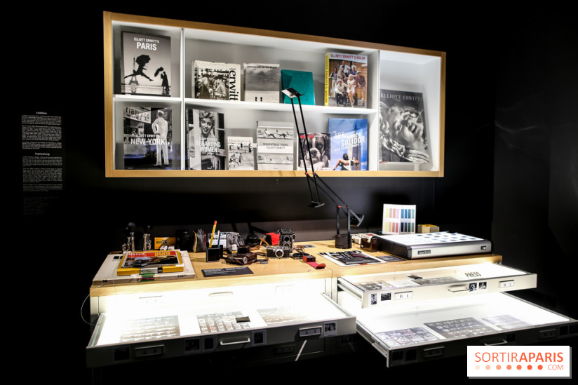 Elliott Erwitt, l'expo au Musée Maillol, nos photos - IMG 8909