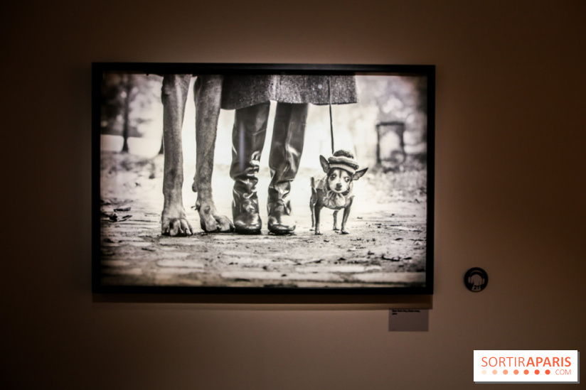 Elliott Erwitt, l'expo au Musée Maillol, nos photos