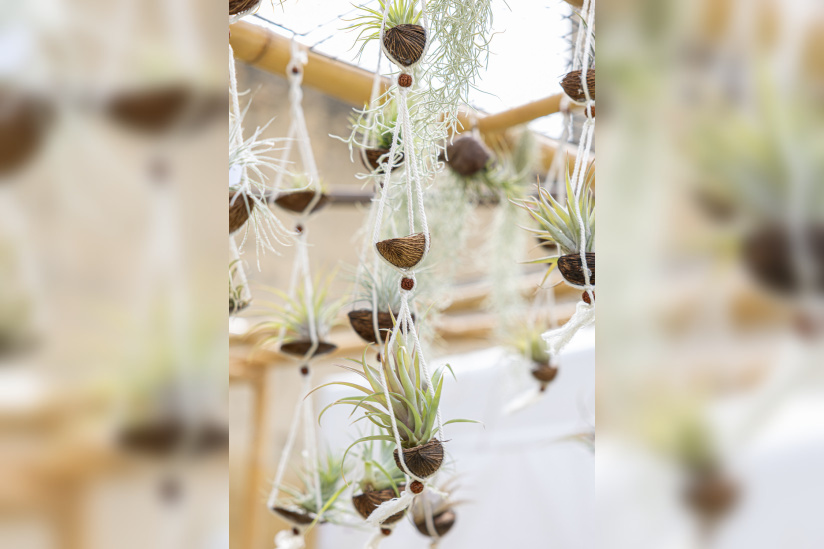 Les journées des plantes & Art  - 0S6A3398