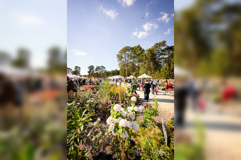 Les journées des plantes & Art  - journes des plantes  fontainebleau 2025 i samedi 29 mars 2025 54426954633 o
