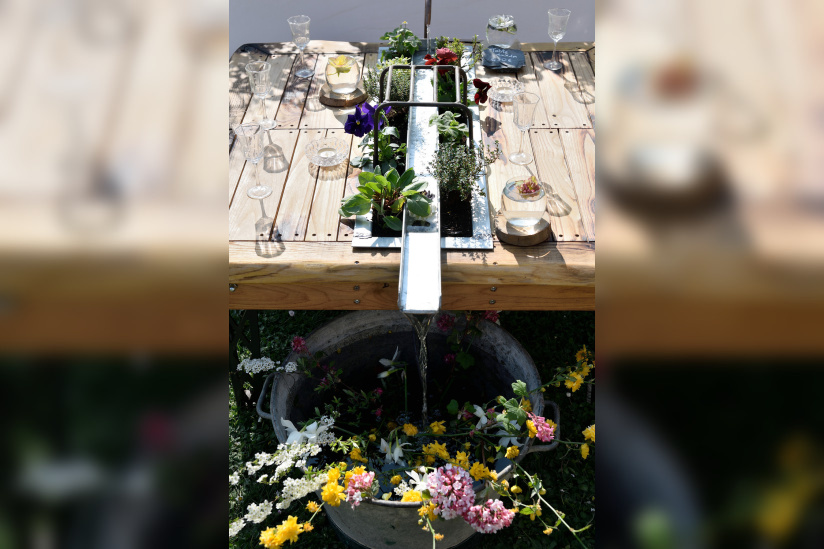 Les journées des plantes & Art du Jardin à Blandy-les-Tours - JourneePlantesBlandy 157©CDesheulles