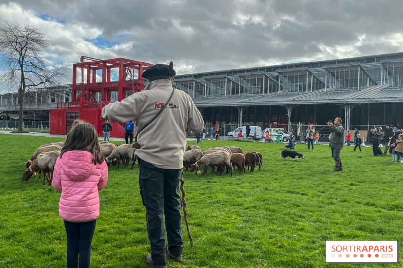 Transhumance à la Villette - CE1F1B78 657D 4D9B 8C5A FA4919382939