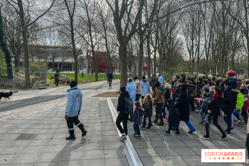 Transhumance à la Villette - F1723DD8 DD0B 4C05 971C 4837A908B3D6