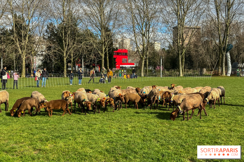 Transhumance à la Villette - 0A0601BF B46E 4CB3 8C5C 8FCED47E3559